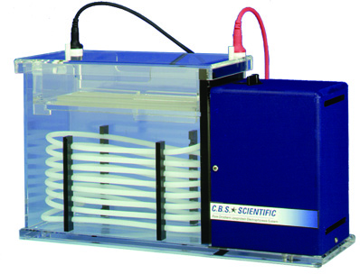 Pore Gradient Lipoprotein Electrophoresis System 4-Place, 220V
