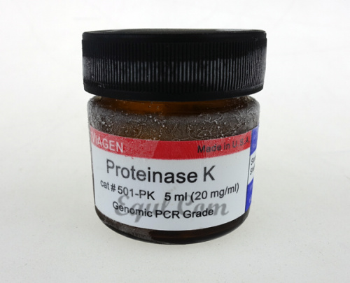 Proteinase K Solution 5ml (20mg/ml) 5ml