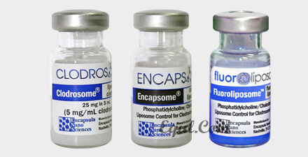 Full macrophage depletion kit (w/Fluoroliposome®-DiD)