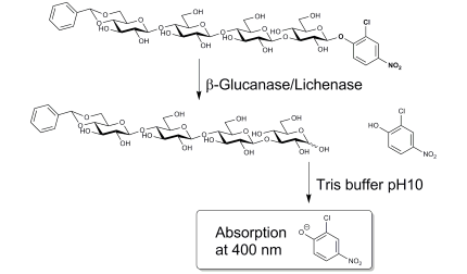 Malt β-Glucanase/Lichenase Assay Kit (MBG4 Method)