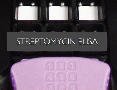 Streptomycin ELISA