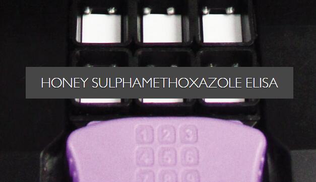 Sulphamethoxazole ELISA in Honey