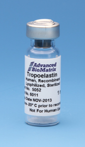 Human Tropoelastin, Lyophilized, 1 mg