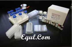 Acute Rotokit M with Brachionus calyciflorus (estuarine/marine) 3 tests per toxicity test kit