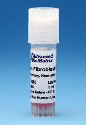Fibroblast Cells, Human, Primary, >1.5M