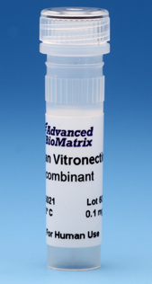 Vitronectin, Human, Recombinant, 0.1 mg