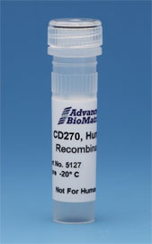 CD270, Human, Recombinant,  0.1 mg